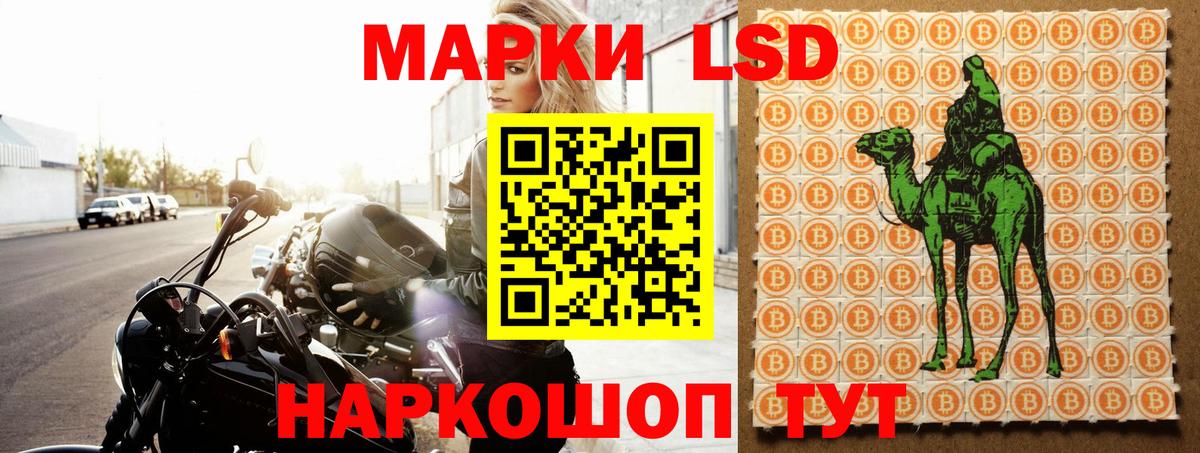 LSD-25 экстази кислота  LSD-25 экстази  Елец  LSD-25 экстази ecstasy  Вход с VPN 
