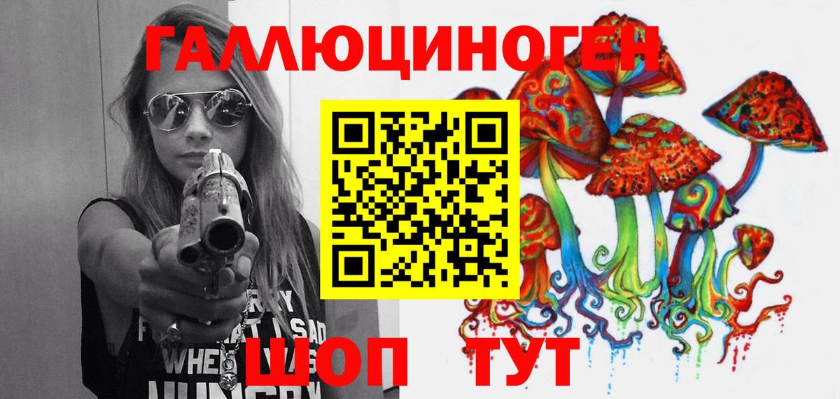 Елец  Псилоцибиновые грибы Psilocybe  Галлюциногенные грибы прущие грибы  Вход с VPN 