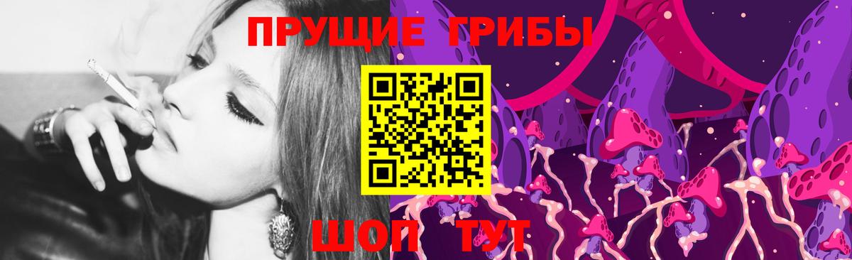 Галлюциногенные грибы Psilocybe Елец